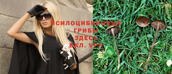 альфа пвп Каменка