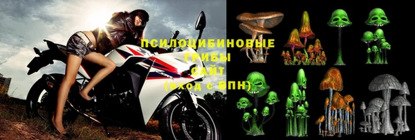хмурый Фёдоровский