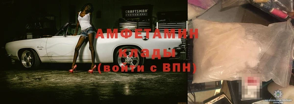 стаф Калининец