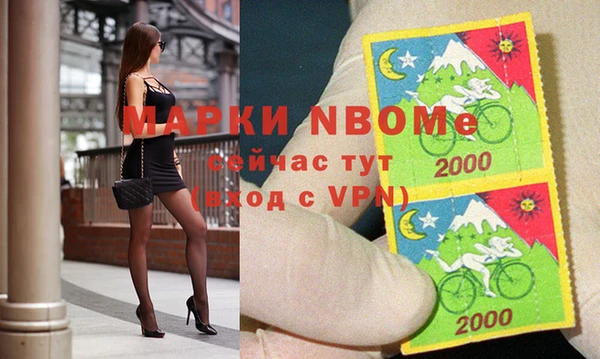 стаф Калининец