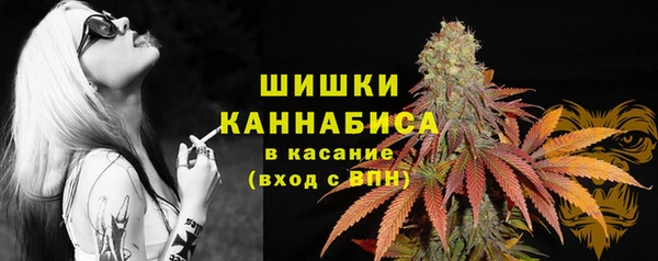 PSILOCYBIN Карталы